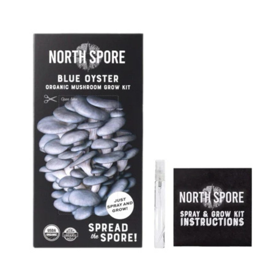 Mushroom Kit – Blue Oyster